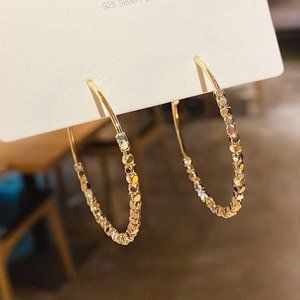 Fancy Sterling Silver Hoop Earrings
